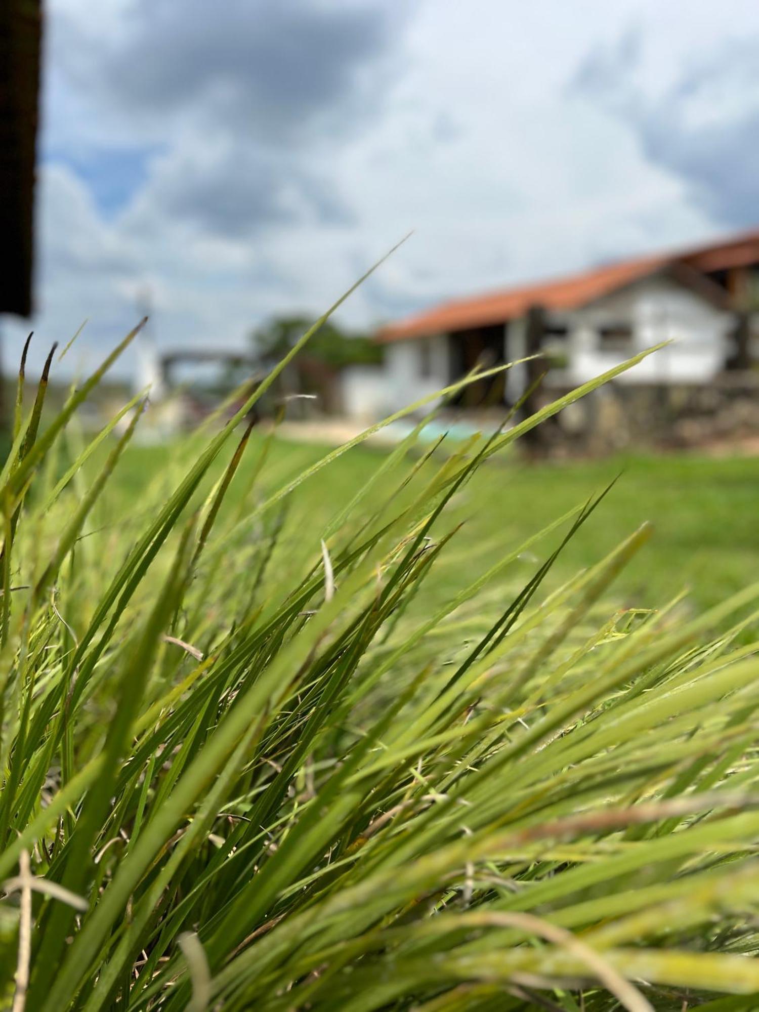 Fazenda do Engenho Santa Rita do Rio Abaixo Exterior foto