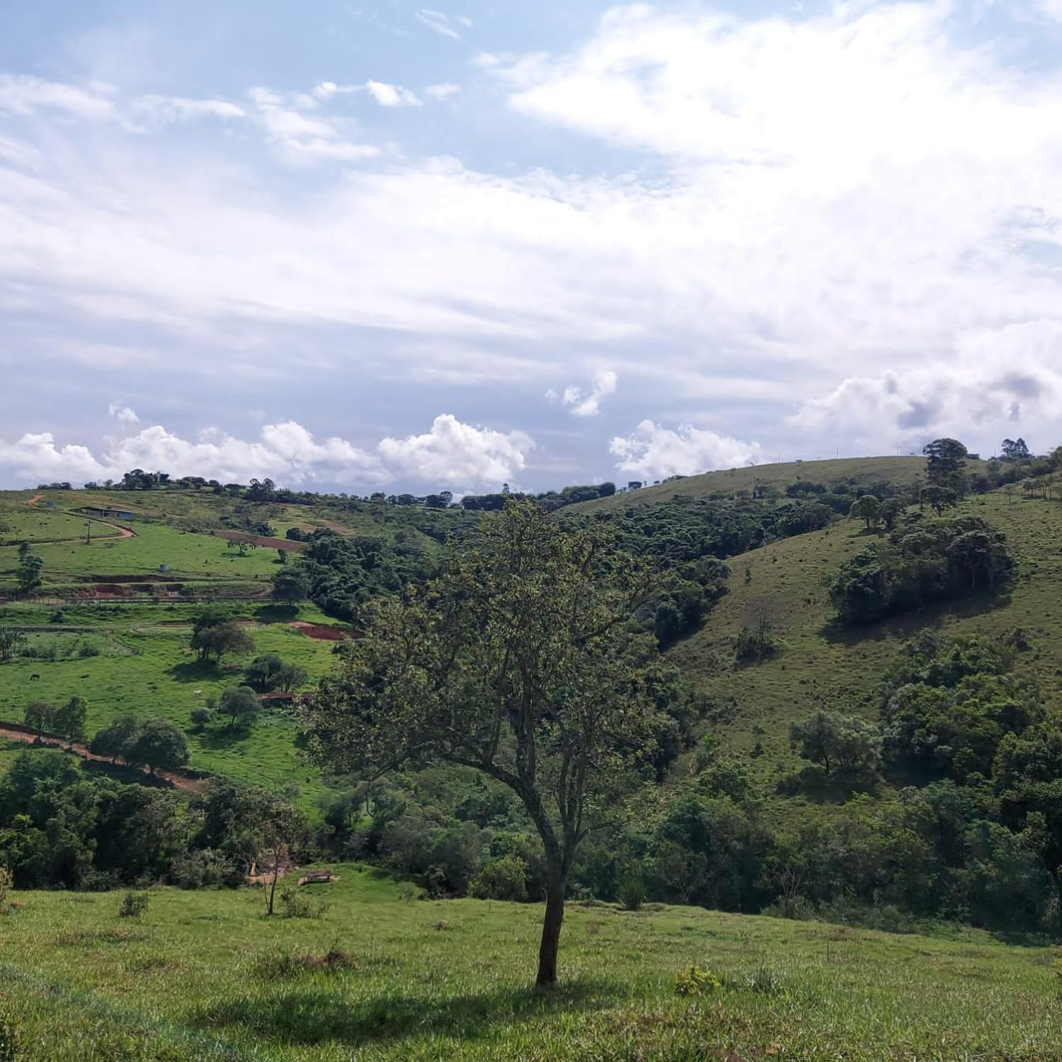 Fazenda do Engenho Santa Rita do Rio Abaixo Exterior foto