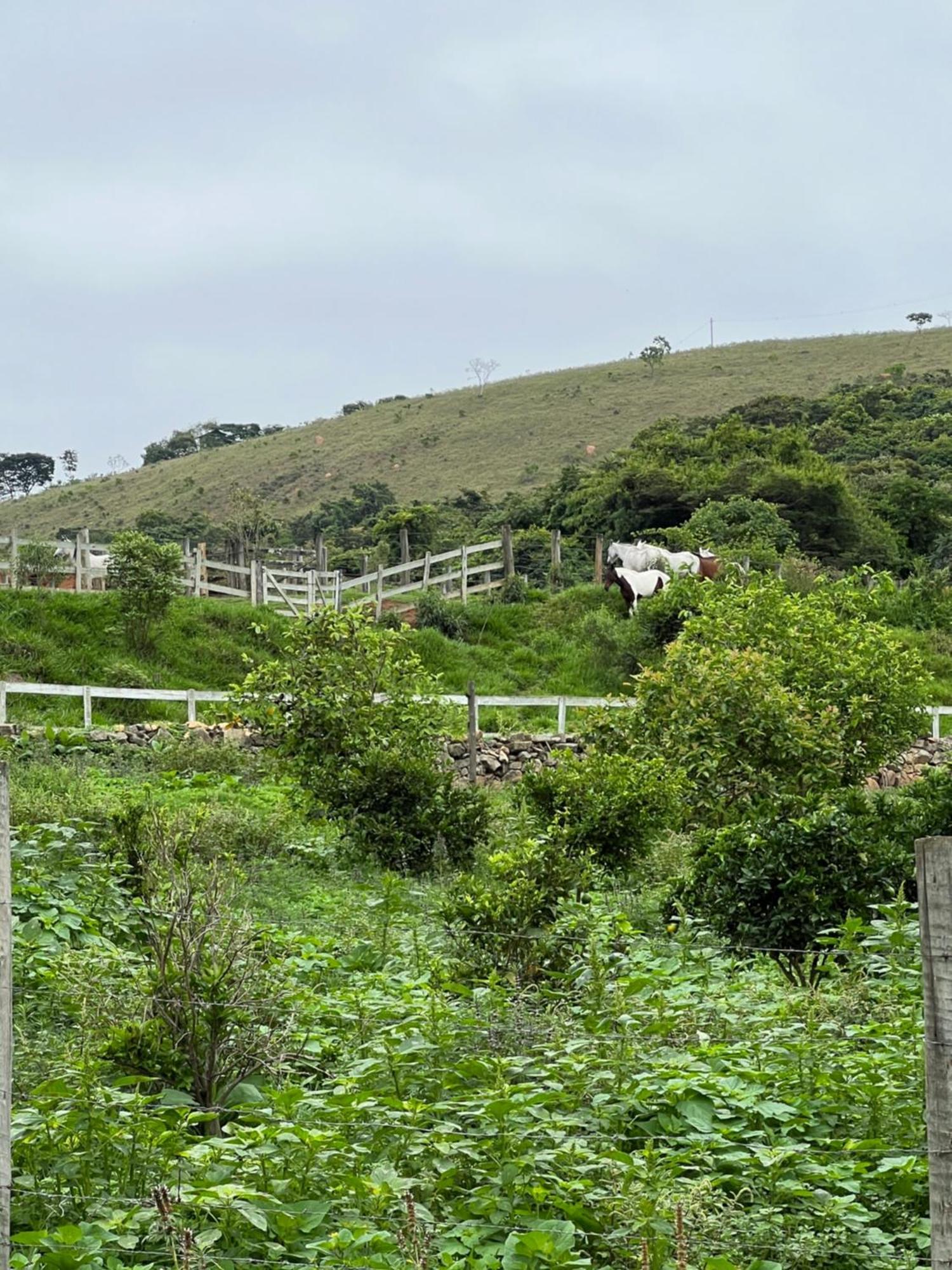 Fazenda do Engenho Santa Rita do Rio Abaixo Exterior foto