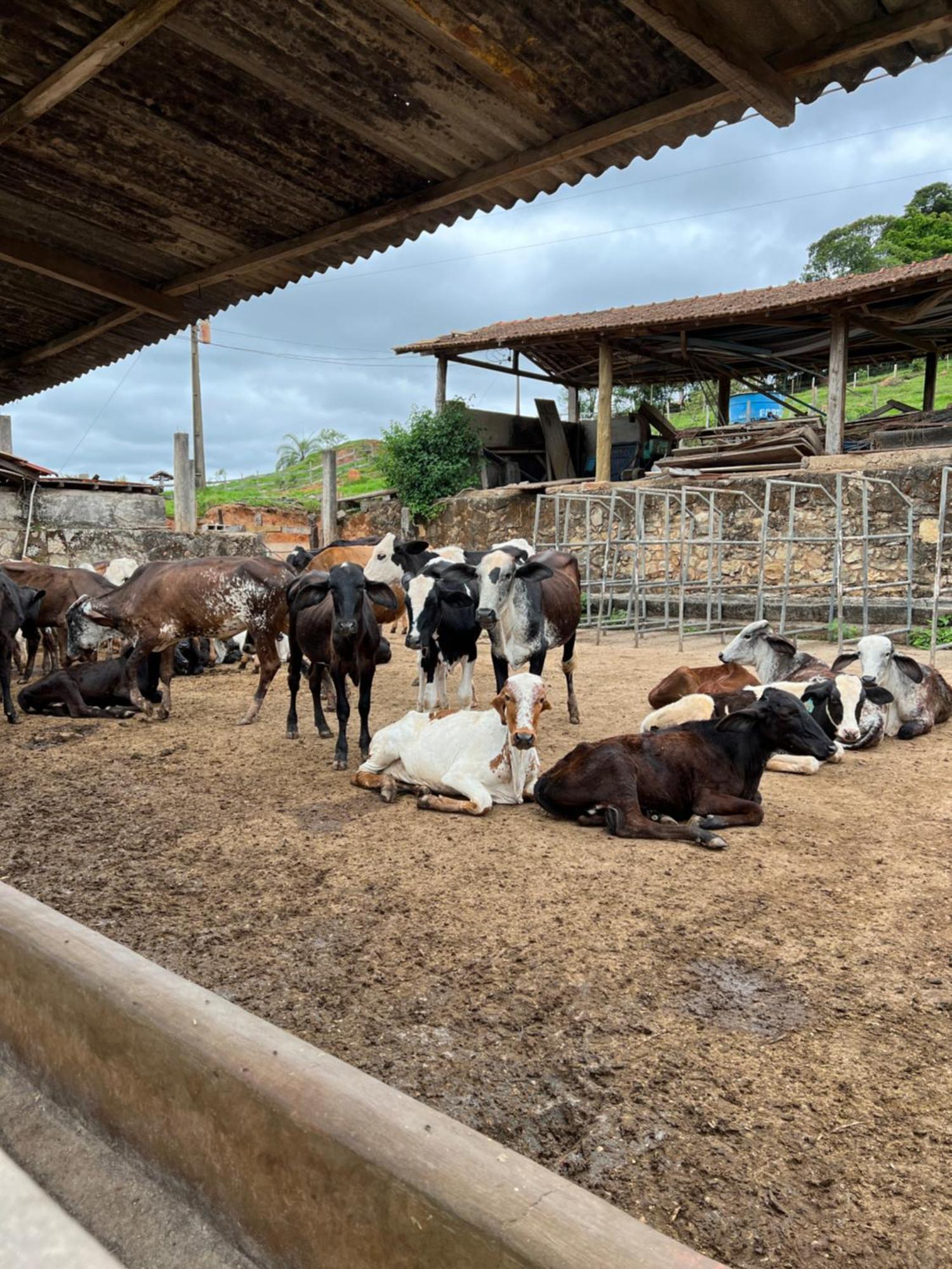 Fazenda do Engenho Santa Rita do Rio Abaixo Exterior foto